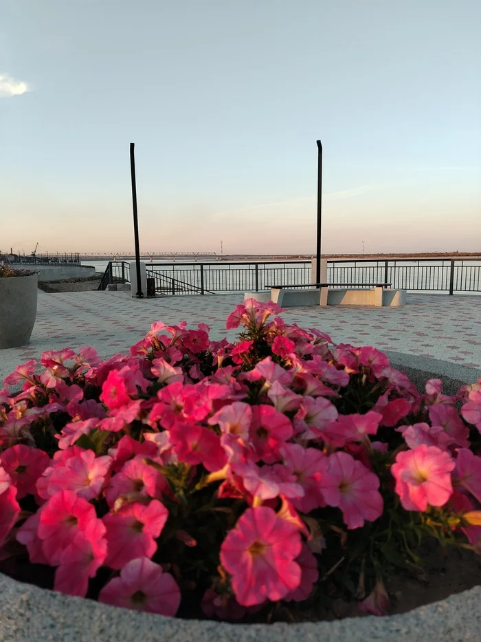 Embankment of the river Zeya Blagoveshchensk - My, Town, Evening, Longpost, Blagoveshchensk, City walk, The photo