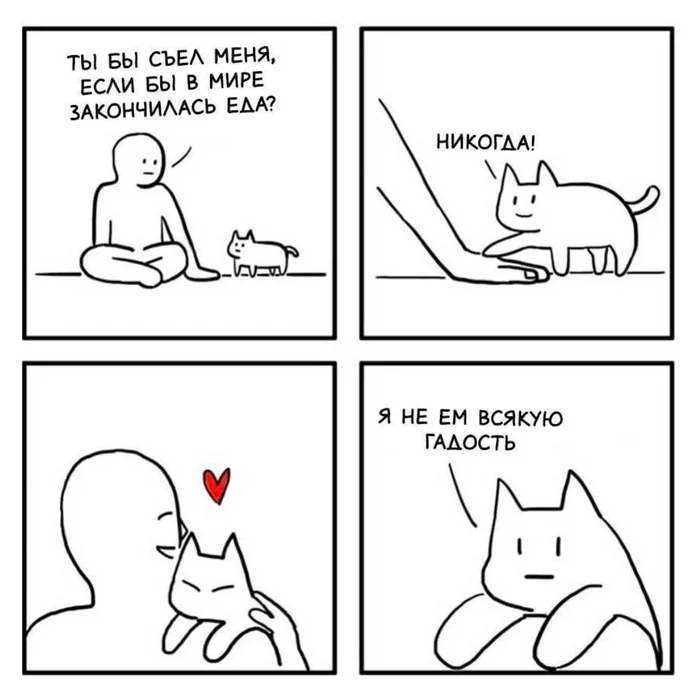 Of course not - Comics, cat, Seebangnow, Repeat