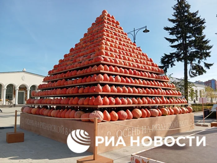 Ryazan pyramid - Pumpkin, Pyramid, Ryazan, Harvest, The festival, The photo, Риа Новости, Telegram (link)