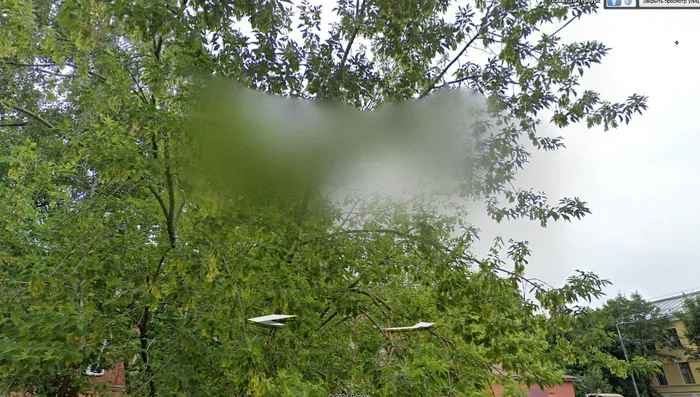 I found a new secret place on google maps - Kronstadt, Google, Google maps, Censorship, Tree, Question, Ask Peekaboo