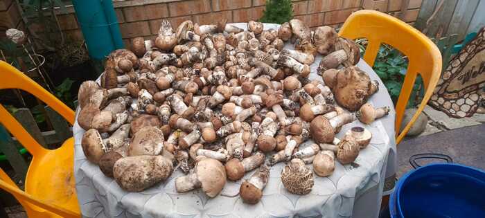 Меньше чем за два часа