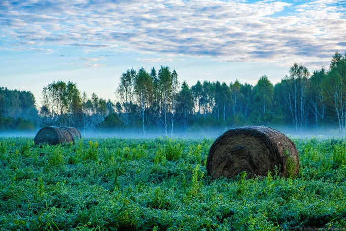 Вот и первые заморозки пришли - Моё, Фотография, Нижегородская область, Деревня, Осень, Заморозки, Длиннопост