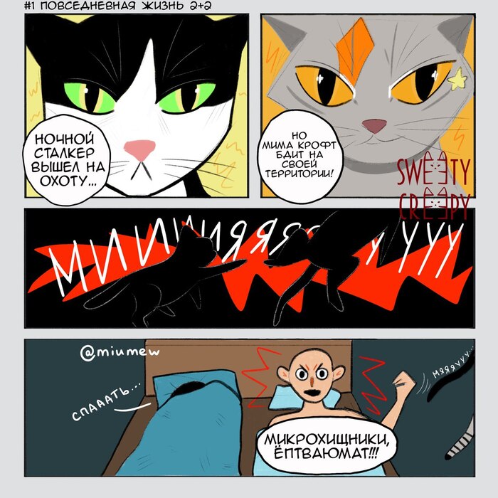 Повседневная жизнь 2+2