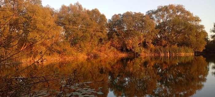 Indian Summer... Part 2... - Nature, Pond, Indian summer, The photo