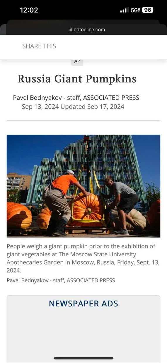 The media in the USA wrote about me - My, Pumpkin, Vegetables, Giant pumpkin, Interview, Video, Youtube, Longpost