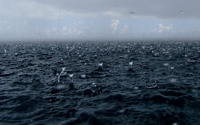 �����. ��������