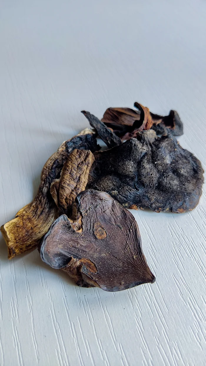 Photo project Let's take a closer look post #95. Dried boletus - My, Nature, Macro photography, Mushrooms, The photo, Microfilming, The nature of Russia, Cooking, Forest, Longpost