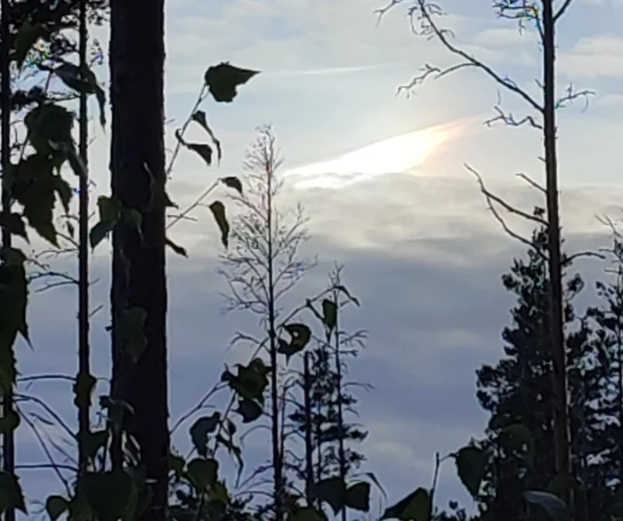 What was that in the sky? - My, Nature, beauty, Emotions, The photo, Sky, The sun, Clouds, Something, Unusual, What's this?, Light, Halo, Atmospheric phenomenon, Video, Vertical video, Longpost