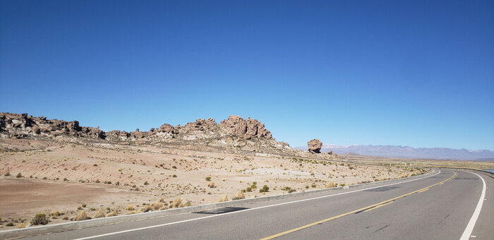 Вот еще один гриб