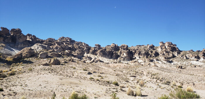 Природа создает таки красоты...