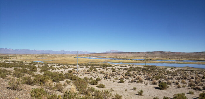 Где то там есть фламинго