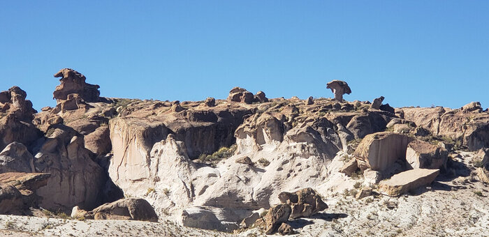Смотрите какой грибок!