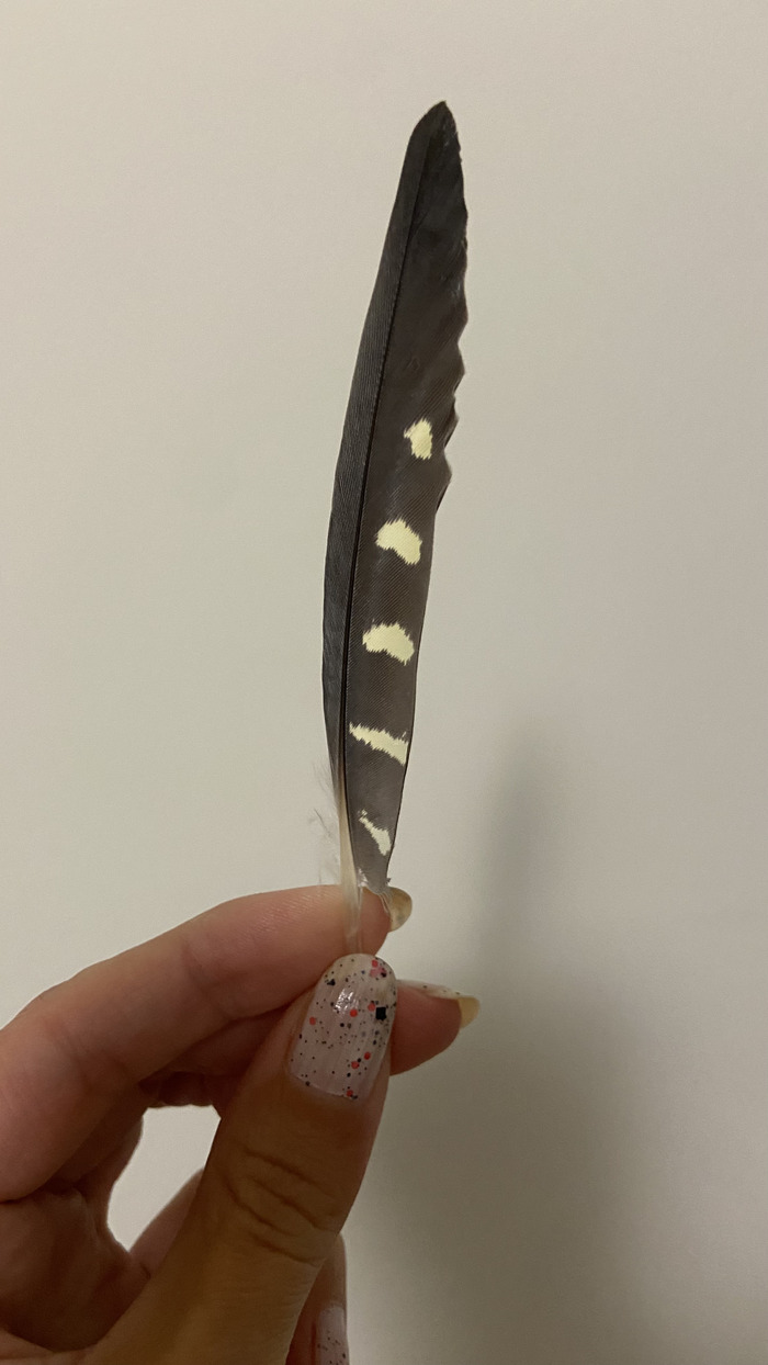 Орудие труда