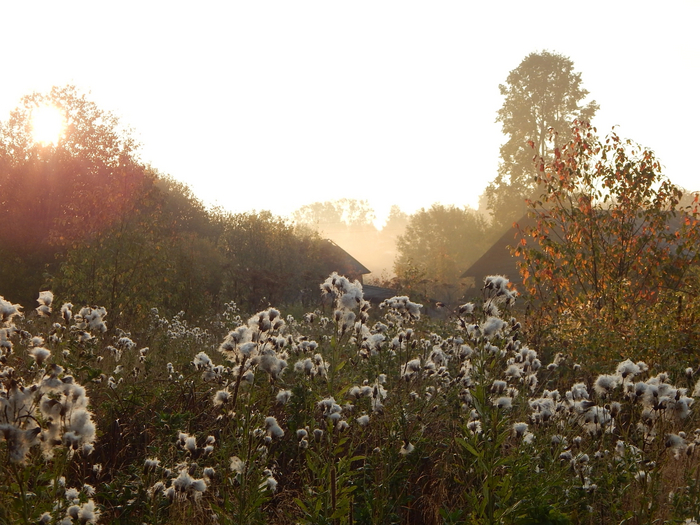Рассвет в покинутой деревне