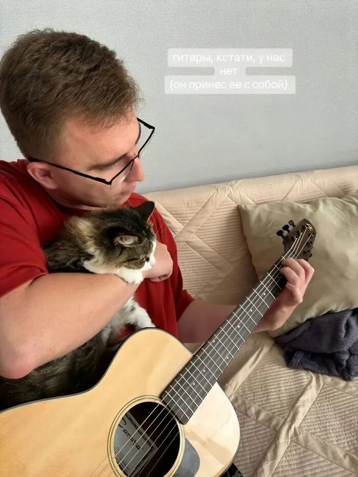 It seems like she'll soon leave us... for a friend. - cat, Humor, Games, Milota, Fluffy, Funny animals, Telegram (link), Longpost, Screenshot, Friend, Friends