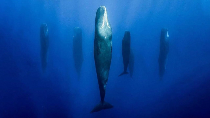  ,            ? (      , )