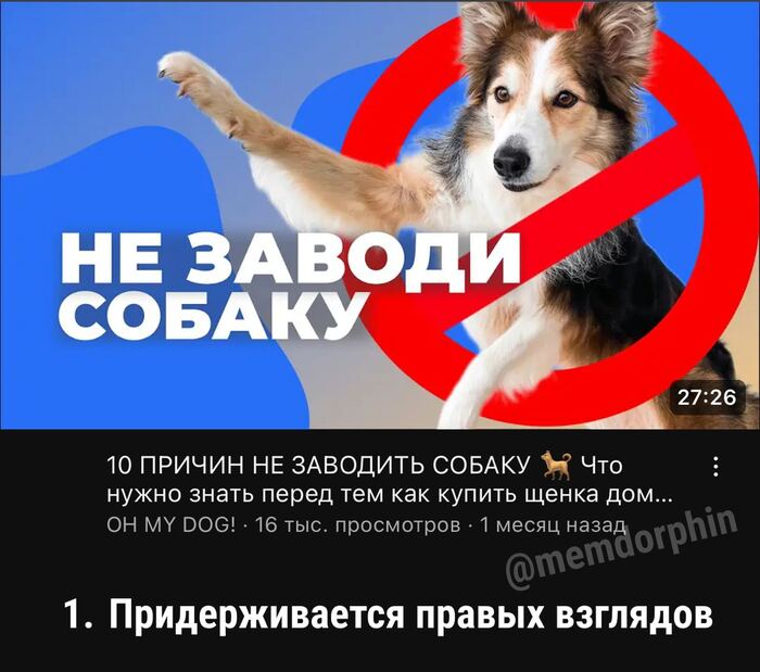 Ҹ���� ������� �����