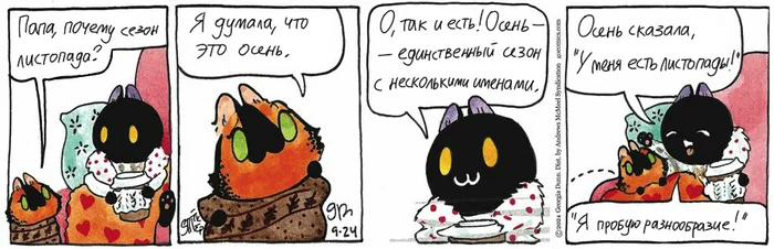 Koteikiny News from 09.24.2024 - My, cat, Comics, Koteikin news (comic), Translation