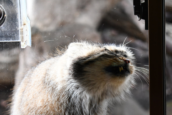 ������ � ������ � ���������