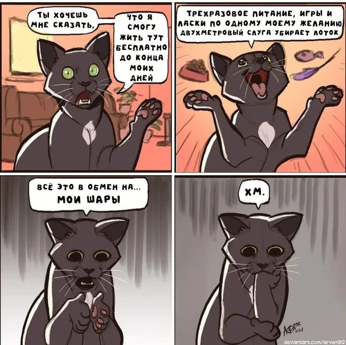 Would you agree? - Comics, cat, Humor, Arven92