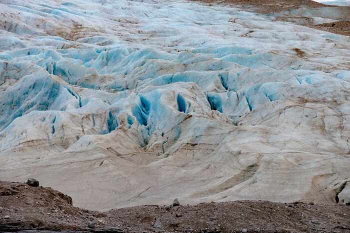 Шпицберген и встреча с белым мишкой Арктика, Шпицберген, Ледник, Фотограф, Белый медведь, Длиннопост