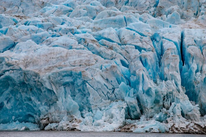 Шпицберген и встреча с белым мишкой Арктика, Шпицберген, Ледник, Фотограф, Белый медведь, Длиннопост