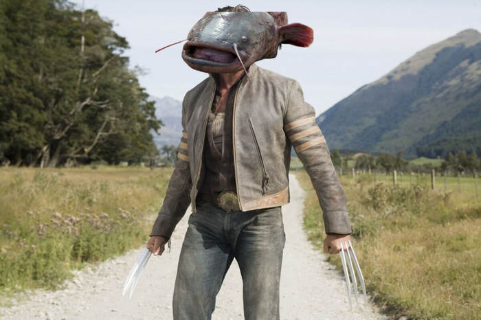 ��������