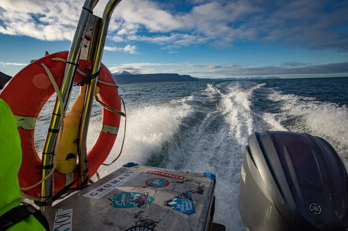 Шпицберген и встреча с белым мишкой Арктика, Шпицберген, Ледник, Фотограф, Белый медведь, Длиннопост