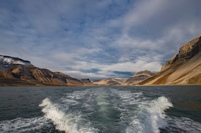 Шпицберген и встреча с белым мишкой Арктика, Шпицберген, Ледник, Фотограф, Белый медведь, Длиннопост