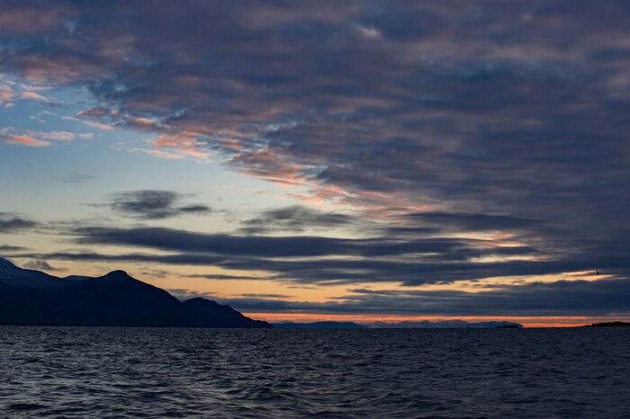 Шпицберген и встреча с белым мишкой Арктика, Шпицберген, Ледник, Фотограф, Белый медведь, Длиннопост