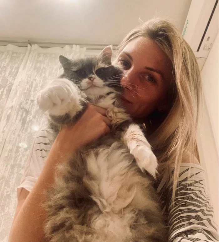 The story of Mishka the cat and her human - No rating, Moscow region, Volunteering, Helping animals, cat, Tricolor cat, Black cat, Homeless animals, The strength of the Peekaboo, Kindness, Good league, Video, Vertical video, Longpost