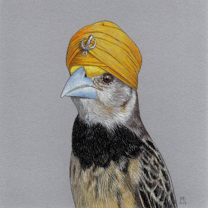 Indian weaver - My, Birds in hats, Art, Drawing, Birds, Animalistics, Pastel, Traditional art, Weaver, Turban