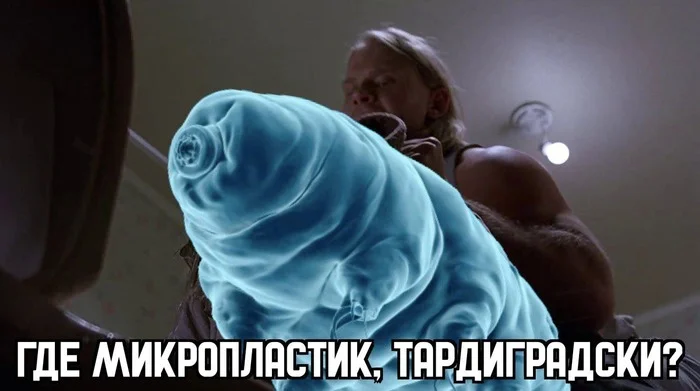 Ученые выяснили, что тихоходки (Tardigrada) не едят микропластик в отличие от всех остальных мелких водных организмов - Наука, Биология, Мемы, Telegram (ссылка), Юмор, Исследования, Тихоходка, Большой Лебовски