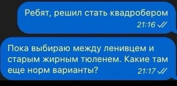 Квадробоберы они такие... - Юмор, Картинка с текстом, Скриншот, Квадроберы