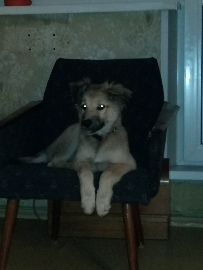 Но он милый, и у него начали зубки меняться.