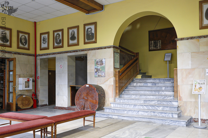 Холл Ботанического музея.