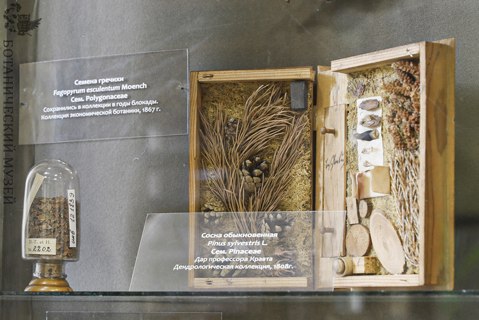 Фрагмент экспозиций музея.