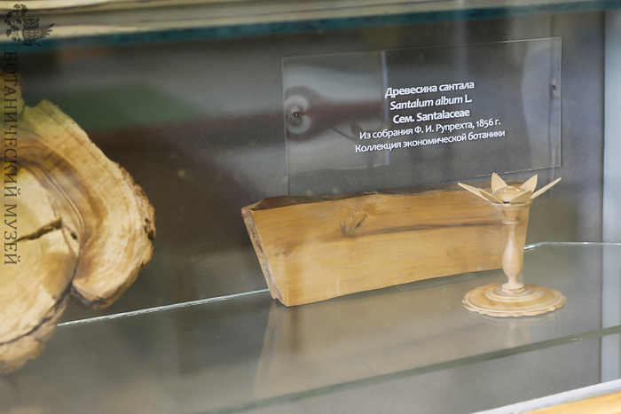 Фрагмент экспозиций музея.