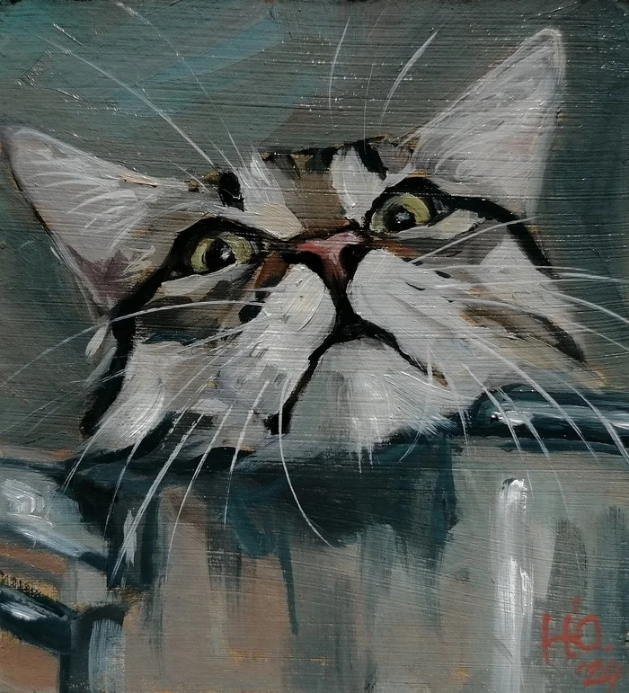 Cat in a saucepan - My, cat, Pets, Artist, Milota, Cat lovers, Painting, Etude, Oil painting, Animalistics, Art, Portrait, Butter, Author's painting