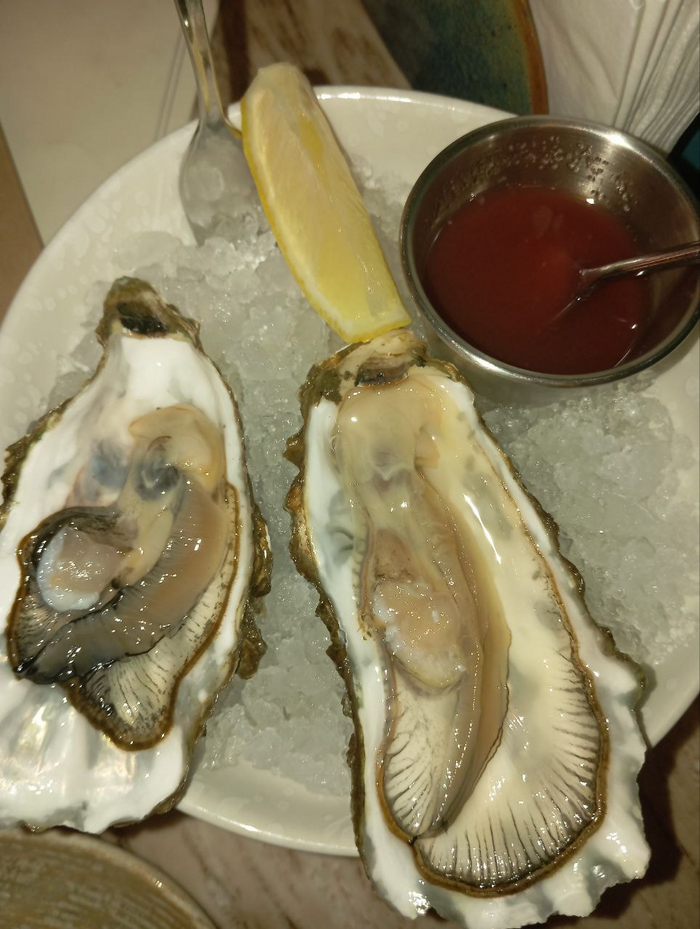 Две дальневосточные устрицы 200р
