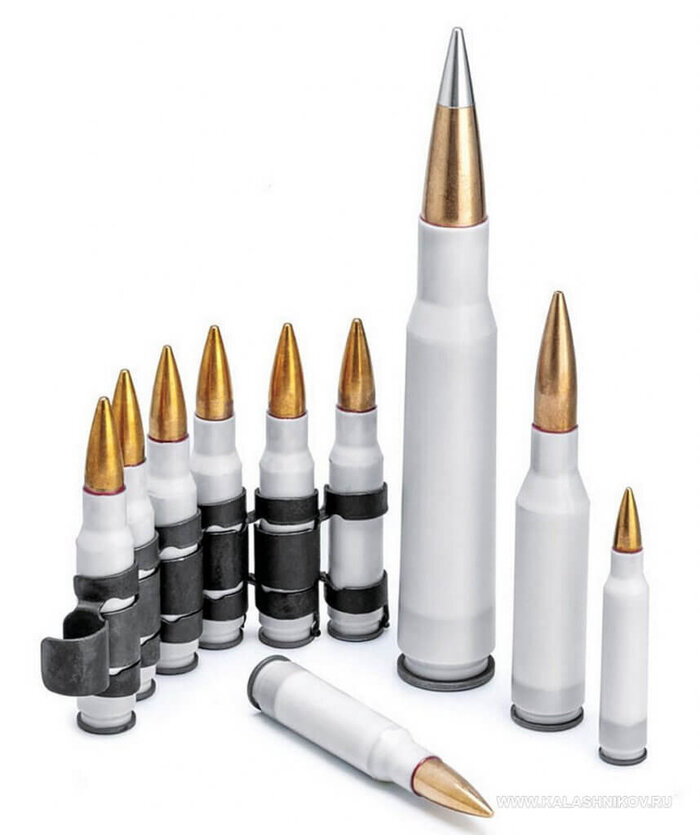  .  .338 Norma Magnum , ,  , , ,  , , 