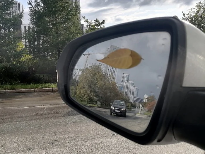 Autumn. Leaf. - My, Ural, Yekaterinburg, The photo, Autumn, Autumn leaves, Rearview mirror, Auto