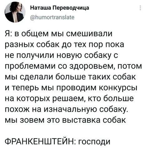 Про собак - Скриншот, Twitter, Юмор, Собака, Выставка собак, Наташа Переводчица - Twitter