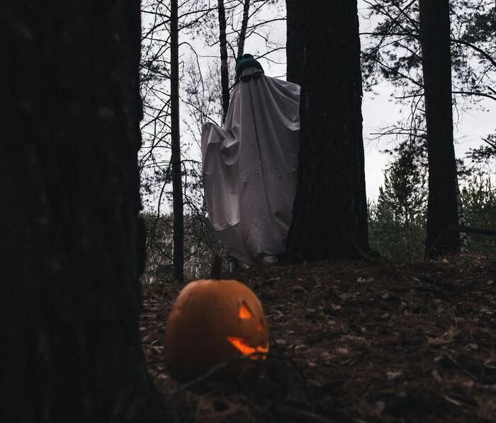 To have a Halloween photoshoot or not to have one? - My, Halloween costume, Halloween, PHOTOSESSION, Professional shooting, Fashion model, The photo, Girls, Forest, Walk in the woods, Question, Ask Peekaboo, Longpost