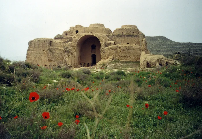 The History of Our World in Fiction. Part 74. Shahnameh - My, What to read?, Book Review, History (science), Iran, Sassanids, Shah, Longpost, Series The history of our world in fiction