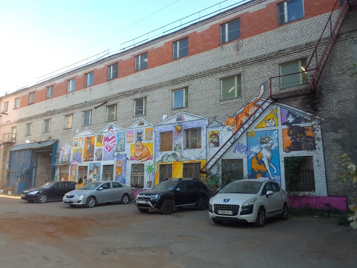 На серой машине компания из трёх человек привезла им кота. Печальна его судьба