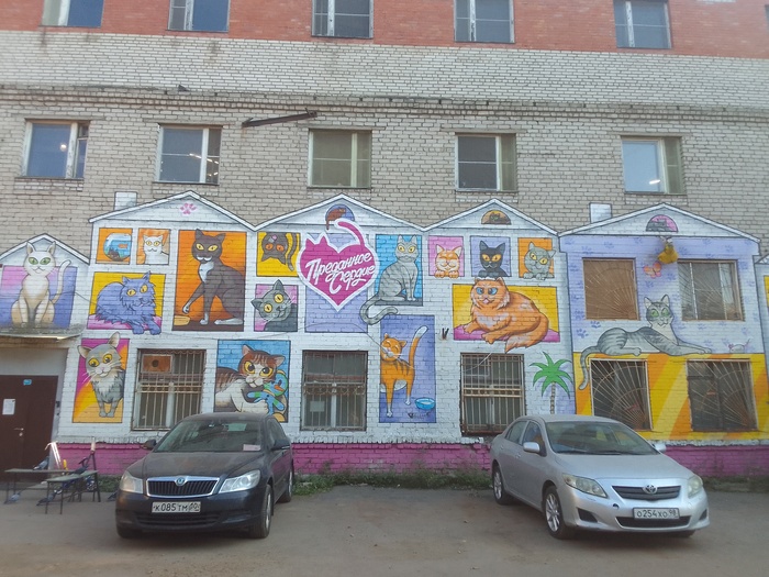 Не отдавайте животных в приют,забирайте себе домой и пристраивайте сами . Приют это бизнес