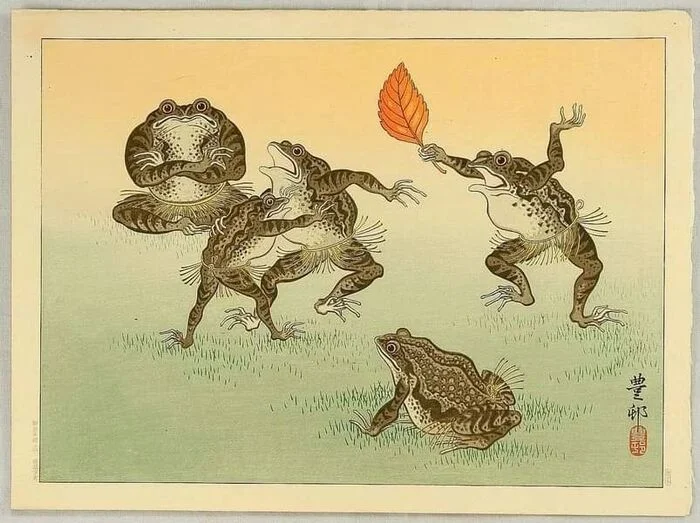 Wednesday morning, dudes! - Morning, Wednesday, The photo, It Is Wednesday My Dudes, Frogs