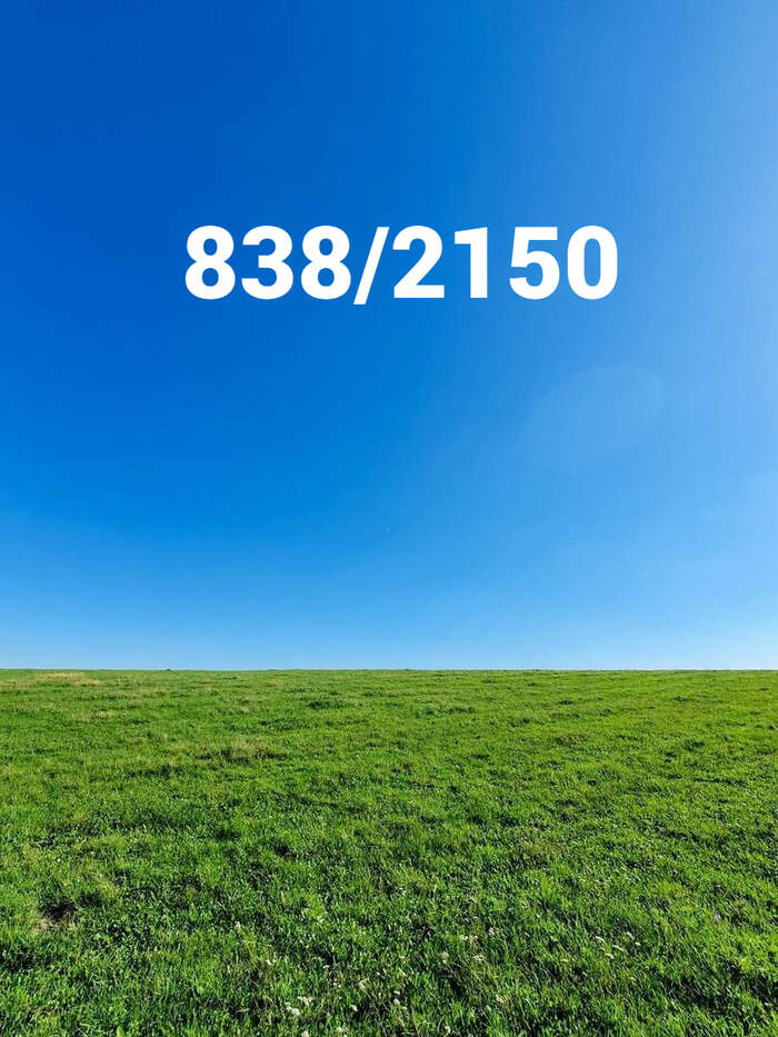 ���� ��������