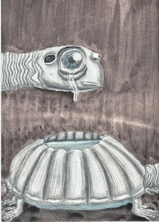 Repetition - My, Painting, Drawing, Beginner artist, Art, Artist, Turtle, Animals, Sadness, Cycle, Pets, Pencil drawing